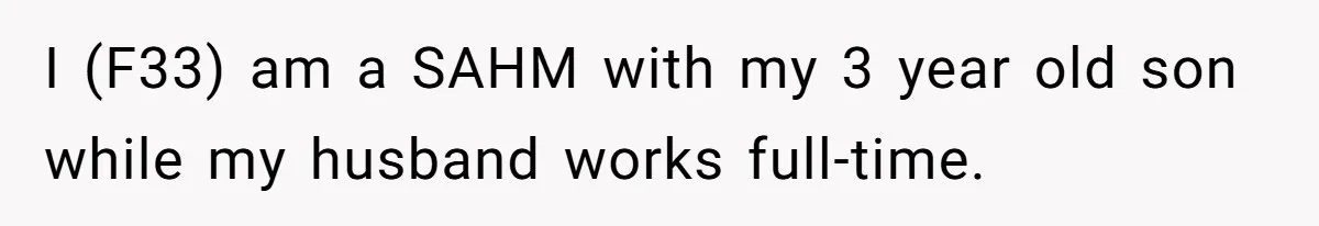 I (F33) am a SAHM with my 3 year old son while my husband works full-time.
