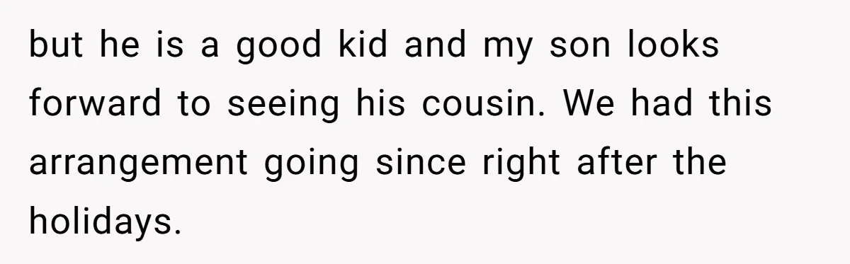 but he is a good kid and my son looks forward to seeing his cousin. We had this arrangement going since right after the holidays.
