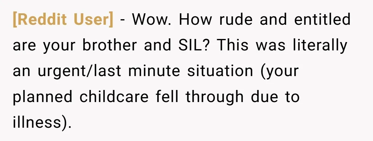 [Reddit User] − Wow. How rude and entitled are your brother and SIL? This was literally an urgent/last minute situation (your planned childcare fell through due to illness).