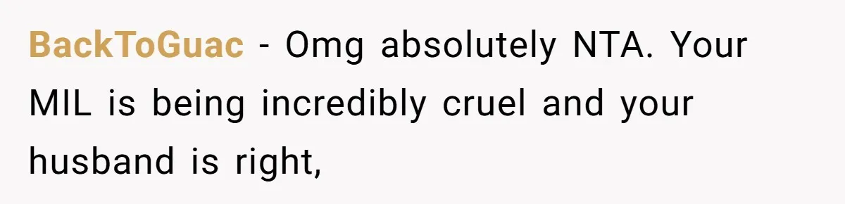 BackToGuac − Omg absolutely NTA. Your MIL is being incredibly cruel and your husband is right,