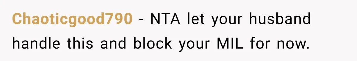 Chaoticgood790 − NTA let your husband handle this and block your MIL for now.