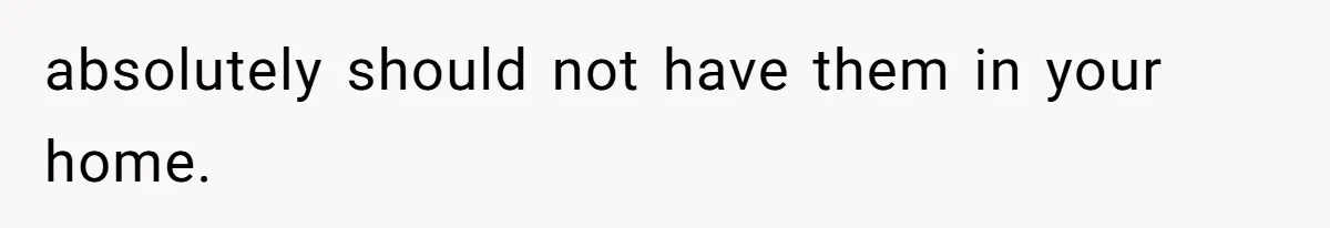 absolutely should not have them in your home.