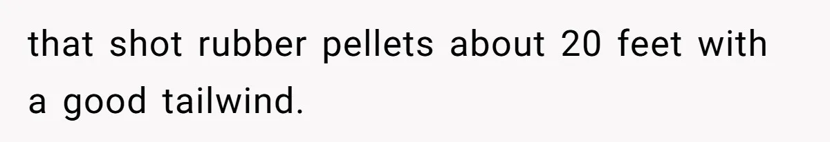 that shot rubber pellets about 20 feet with a good tailwind.