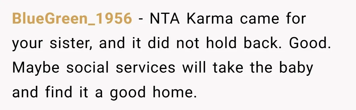 BlueGreen_1956 − NTA Karma came for your sister, and it did not hold back. Good. Maybe social services will take the baby and find it a good home.