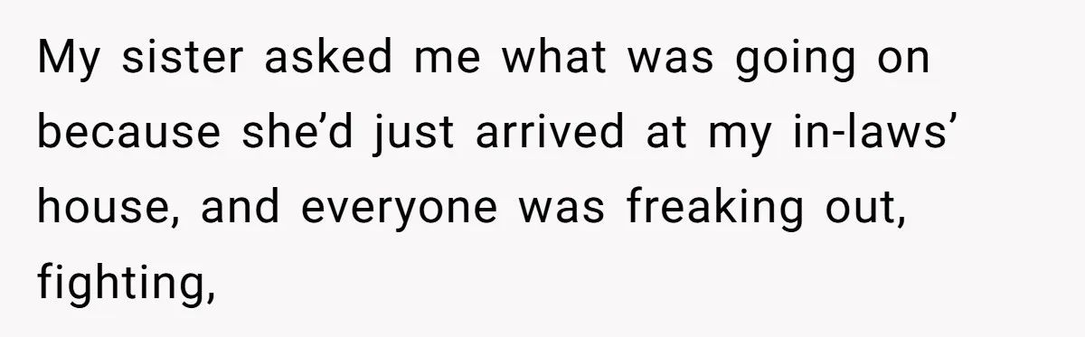 My sister asked me what was going on because she’d just arrived at my in-laws’ house, and everyone was freaking out, fighting,