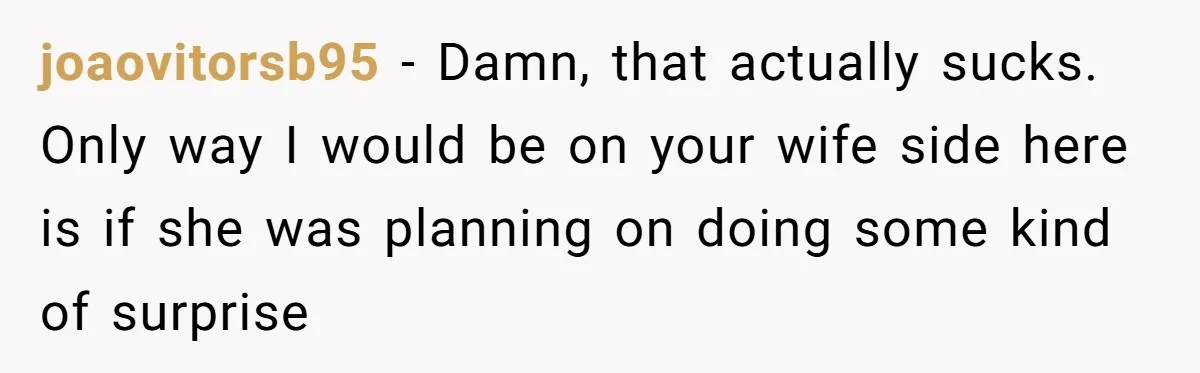 joaovitorsb95 − Damn, that actually sucks. Only way I would be on your wife side here is if she was planning on doing some kind of surprise