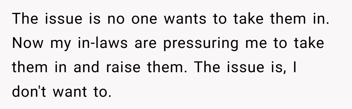 The issue is no one wants to take them in. Now my in-laws are pressuring me to take them in and raise them. The issue is, I don't want to.