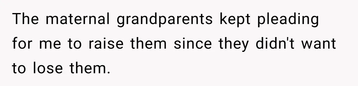 The maternal grandparents kept pleading for me to raise them since they didn't want to lose them.