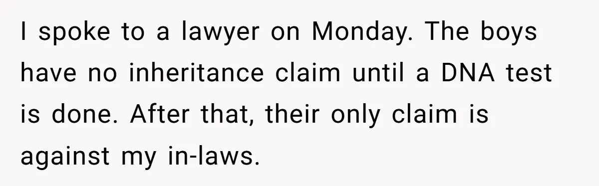 I spoke to a lawyer on Monday. The boys have no inheritance claim until a DNA test is done. After that, their only claim is against my in-laws.