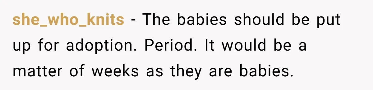 she_who_knits − The babies should be put up for adoption. Period. It would be a matter of weeks as they are babies.