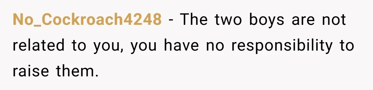 No_Cockroach4248 − The two boys are not related to you, you have no responsibility to raise them.