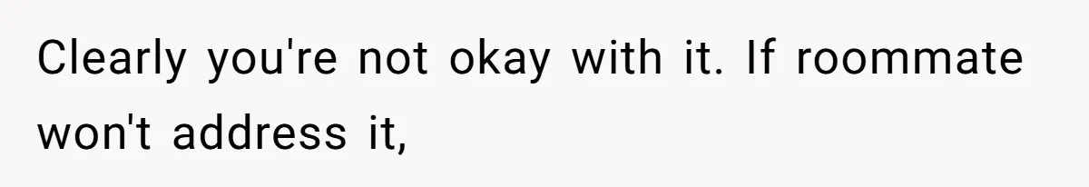 Clearly you're not okay with it. If roommate won't address it,