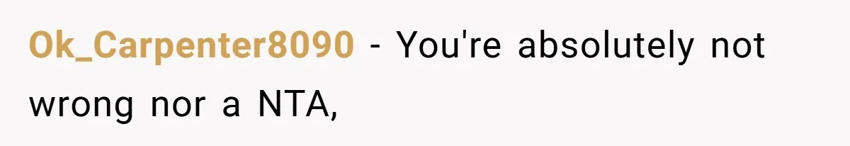 Ok_Carpenter8090 − You're absolutely not wrong nor a NTA,