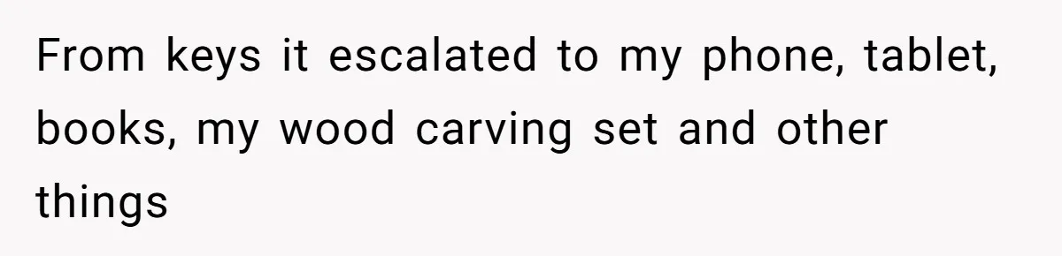 From keys it escalated to my phone, tablet, books, my wood carving set and other things