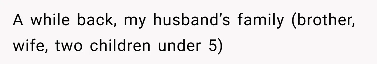 A while back, my husband’s family (brother, wife, two children under 5)