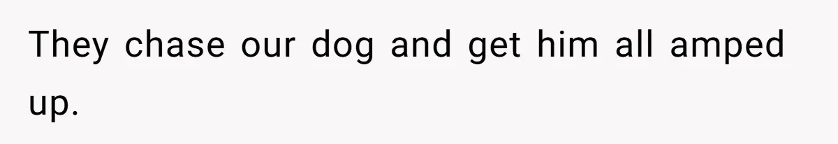 They chase our dog and get him all amped up.