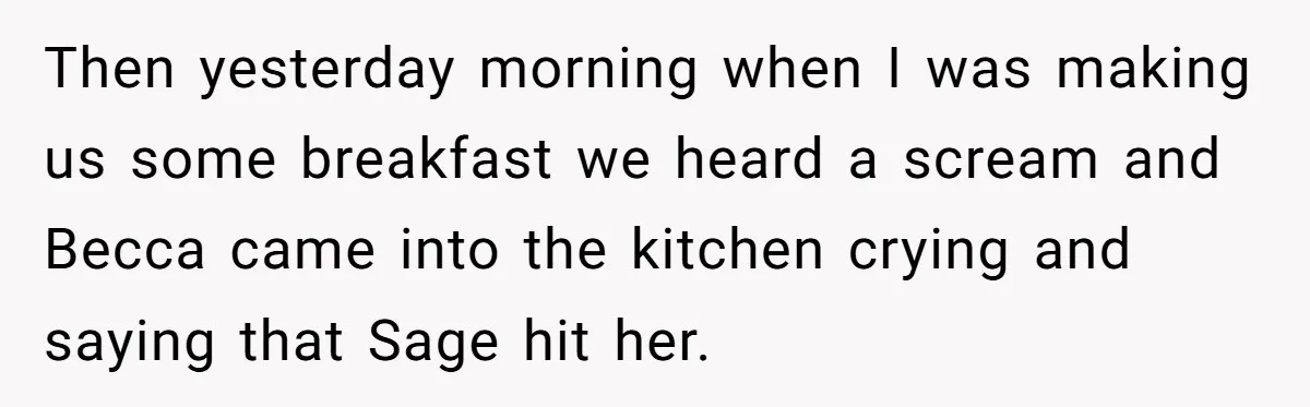 Then yesterday morning when I was making us some breakfast we heard a scream and Becca came into the kitchen crying and saying that Sage hit her.