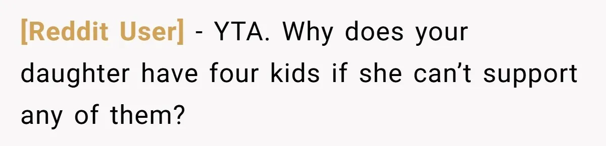 [Reddit User] − YTA. Why does your daughter have four kids if she can’t support any of them?