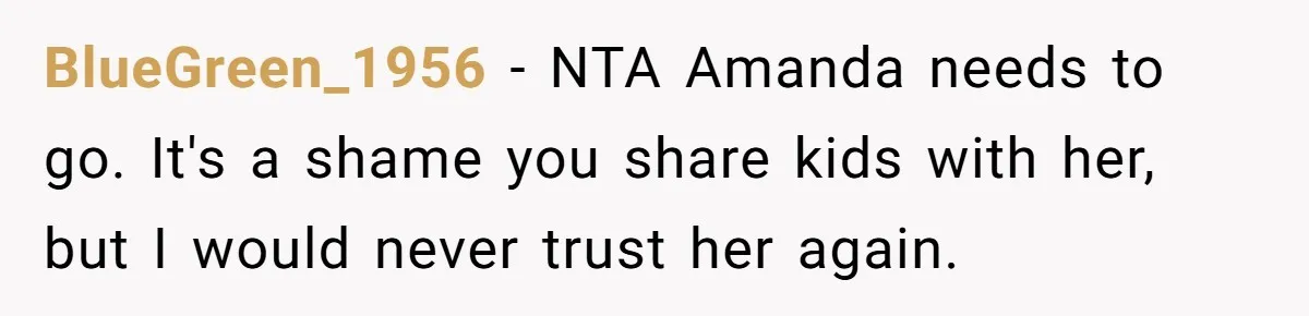 BlueGreen_1956 − NTA Amanda needs to go. It's a shame you share kids with her, but I would never trust her again.