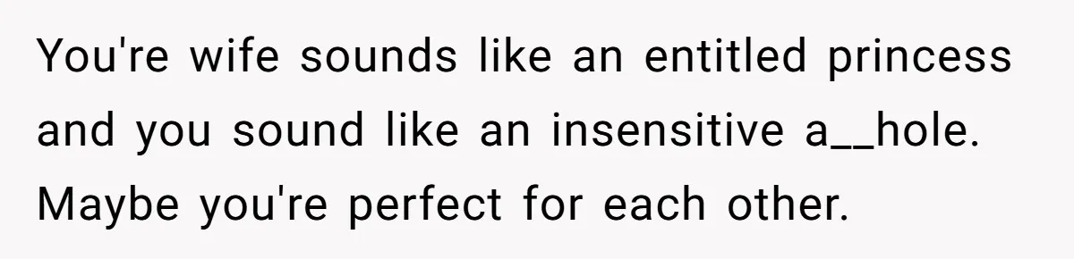 You're wife sounds like an entitled princess and you sound like an insensitive a__hole. Maybe you're perfect for each other.