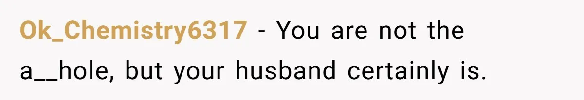 Ok_Chemistry6317 − You are not the a__hole, but your husband certainly is.