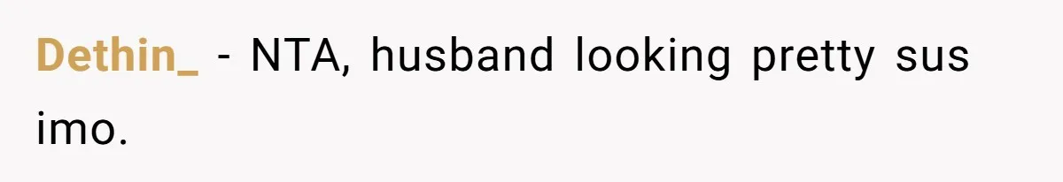 Dethin_ − NTA, husband looking pretty sus imo.