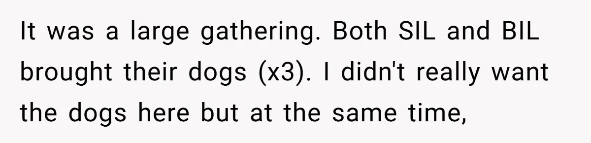 It was a large gathering. Both SIL and BIL brought their dogs (x3). I didn't really want the dogs here but at the same time,