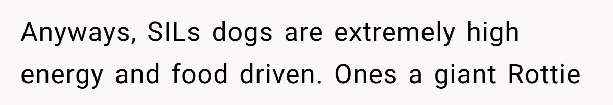 Anyways, SILs dogs are extremely high energy and food driven. Ones a giant Rottie