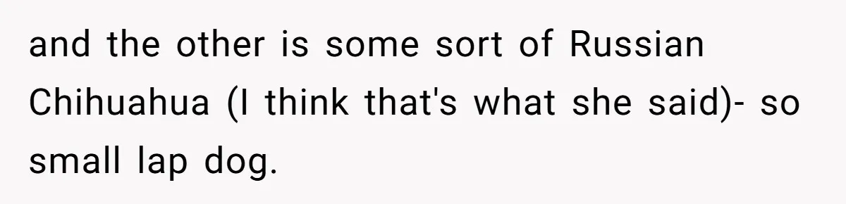 and the other is some sort of Russian Chihuahua (I think that's what she said)- so small lap dog.