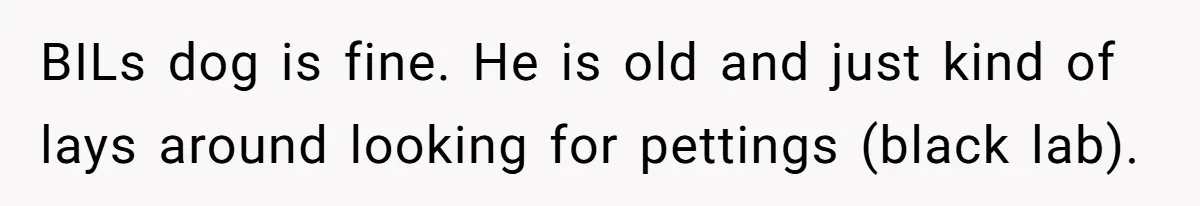 BILs dog is fine. He is old and just kind of lays around looking for pettings (black lab).