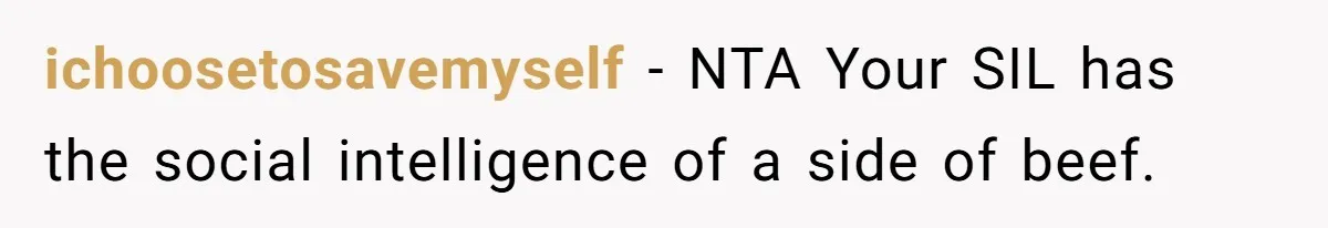 ichoosetosavemyself − NTA Your SIL has the social intelligence of a side of beef.