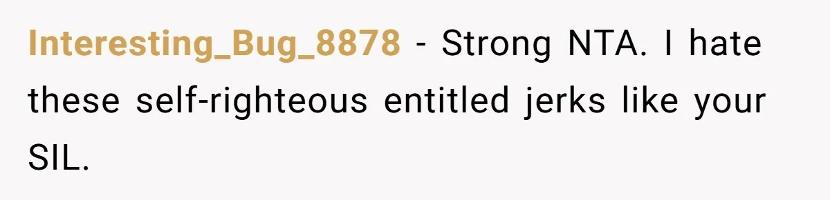 Interesting_Bug_8878 − Strong NTA. I hate these self-righteous entitled jerks like your SIL.