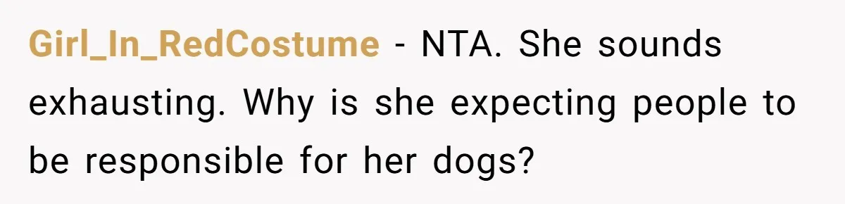 Girl_In_RedCostume − NTA. She sounds exhausting. Why is she expecting people to be responsible for her dogs?