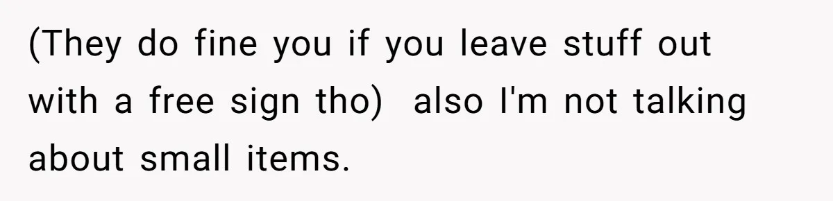 (They do fine you if you leave stuff out with a free sign tho)  also I'm not talking about small items.