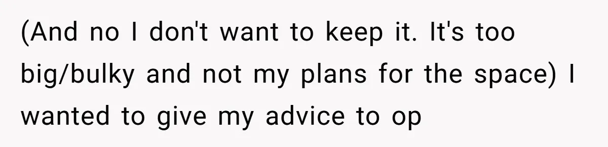 (And no I don't want to keep it. It's too big/bulky and not my plans for the space) I wanted to give my advice to op