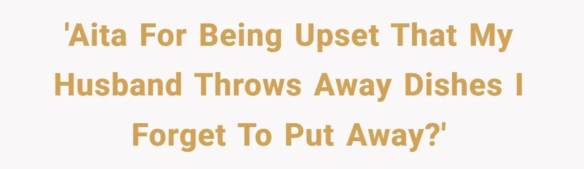 'AITA for being upset that my husband throws away dishes I forget to put away?'