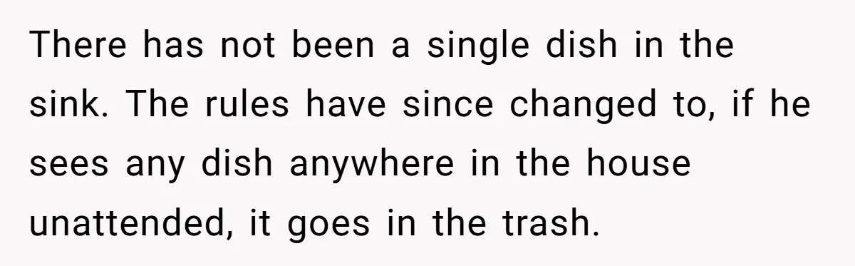 There has not been a single dish in the sink. The rules have since changed to, if he sees any dish anywhere in the house unattended, it goes in the...
