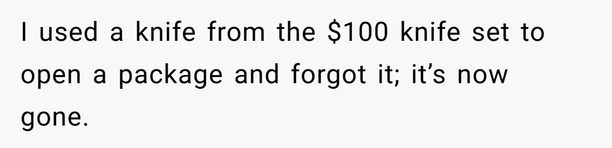 I used a knife from the $100 knife set to open a package and forgot it; it’s now gone.