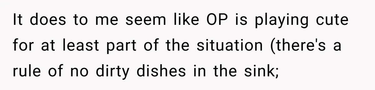 It does to me seem like OP is playing cute for at least part of the situation (there's a rule of no dirty dishes in the sink;