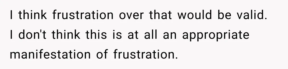 I think frustration over that would be valid. I don't think this is at all an appropriate manifestation of frustration.