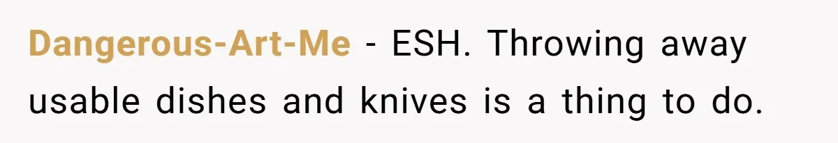 Dangerous-Art-Me − ESH. Throwing away usable dishes and knives is a thing to do.