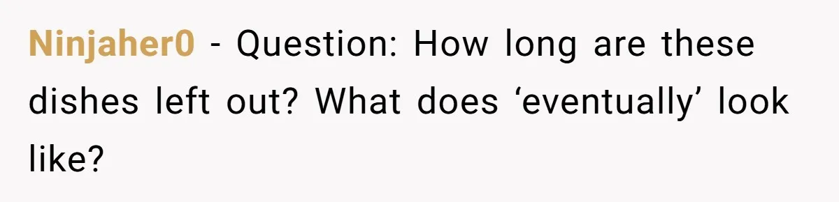 Ninjaher0 − Question: How long are these dishes left out? What does ‘eventually’ look like?