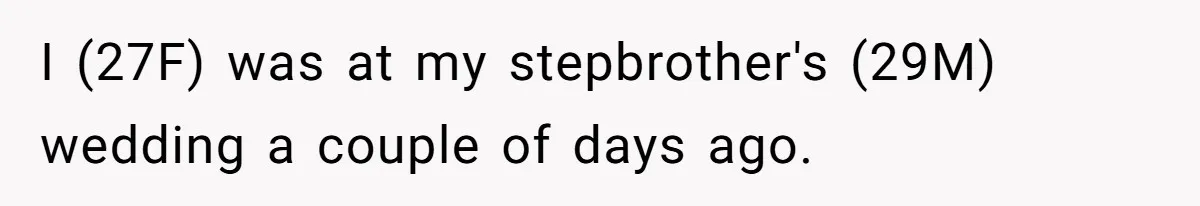 I (27F) was at my stepbrother's (29M) wedding a couple of days ago.