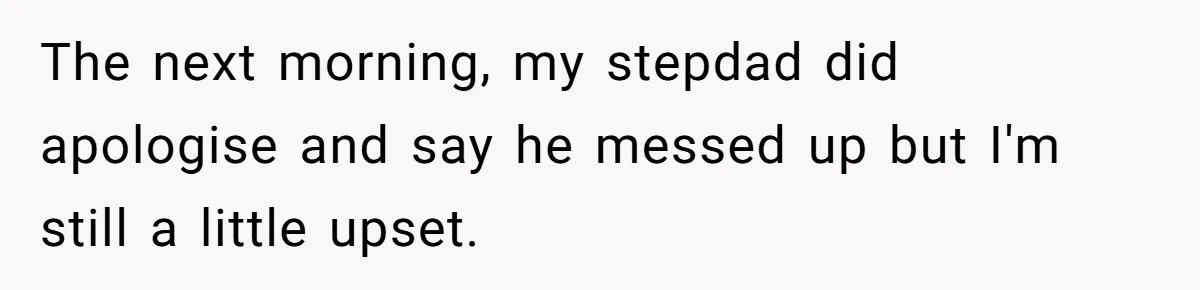 The next morning, my stepdad did apologise and say he messed up but I'm still a little upset.
