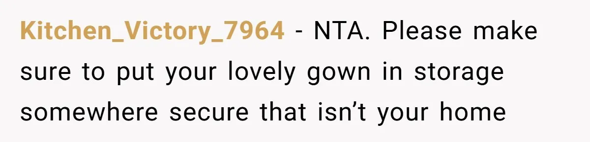 Kitchen_Victory_7964 − NTA. Please make sure to put your lovely gown in storage somewhere secure that isn’t your home