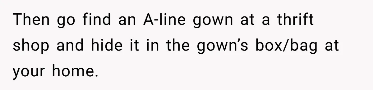 Then go find an A-line gown at a thrift shop and hide it in the gown’s box/bag at your home.