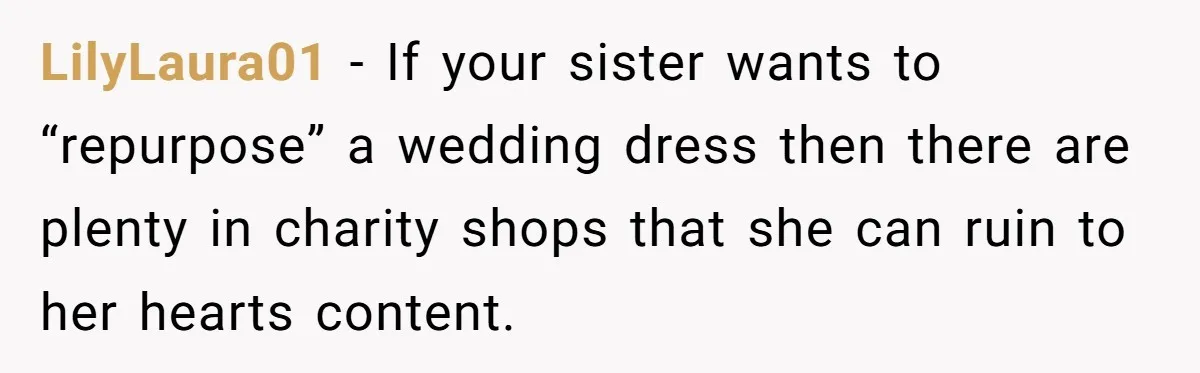 LilyLaura01 − If your sister wants to “repurpose” a wedding dress then there are plenty in charity shops that she can ruin to her hearts content.