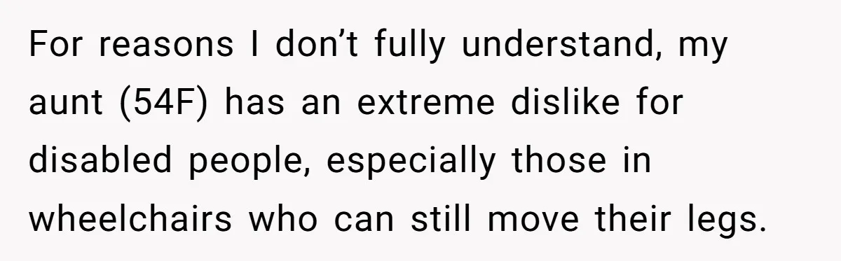 For reasons I don’t fully understand, my aunt (54F) has an extreme dislike for disabled people, especially those in wheelchairs who can still move their legs.