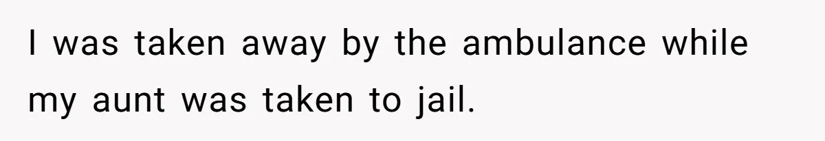 I was taken away by the ambulance while my aunt was taken to jail.