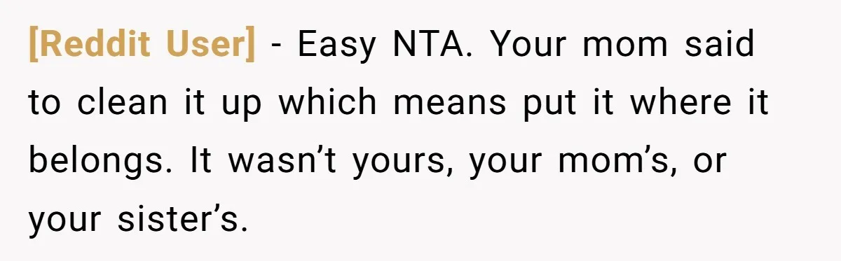 [Reddit User] − Easy NTA. Your mom said to clean it up which means put it where it belongs. It wasn’t yours, your mom’s, or your sister’s.